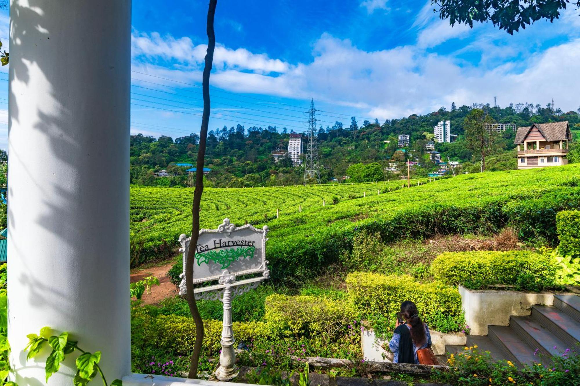 Tea Harvester Munnar Zewnętrze zdjęcie