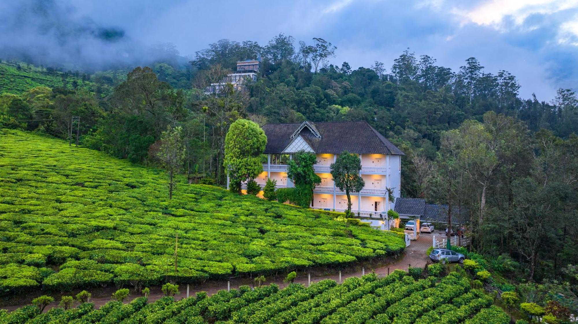 Tea Harvester Munnar Zewnętrze zdjęcie