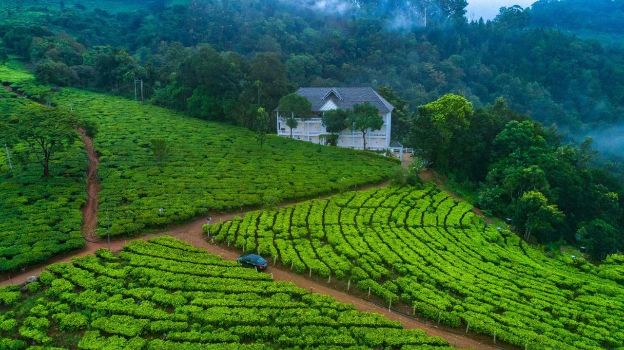 Tea Harvester Munnar Zewnętrze zdjęcie